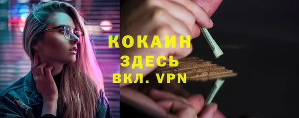 шишки Медвежьегорск