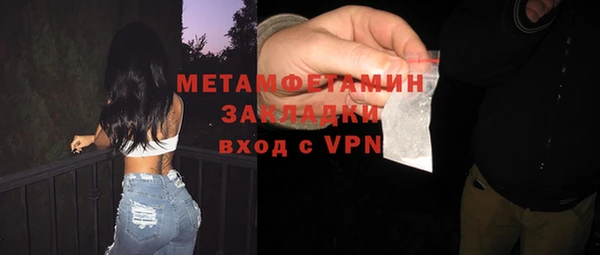 шишки Медвежьегорск
