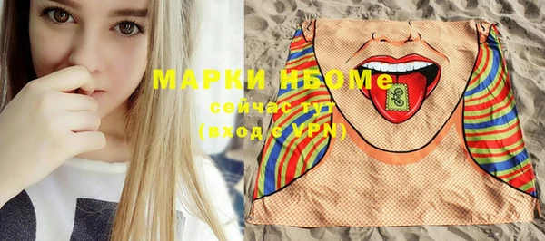 шишки Медвежьегорск