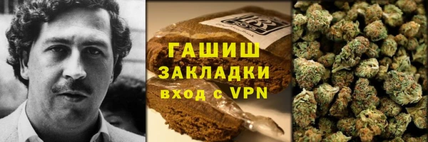 шишки Медвежьегорск