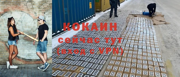 шишки Медвежьегорск