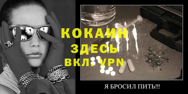 шишки Медвежьегорск