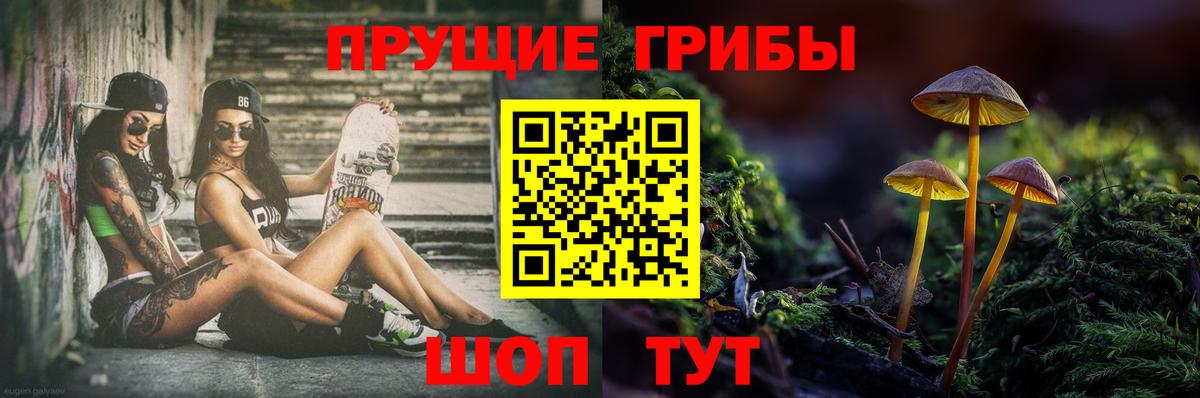 Галлюциногенные грибы Cubensis  Вход с VPN  Барабинск 